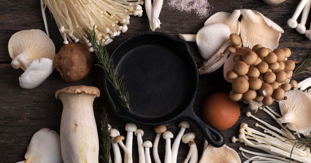 Como Limpar e Preparar Cogumelo Shitake Simples e Rápido 