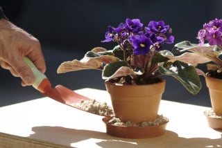 Homem aplicando areia em vaso de flor