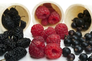 Entenda os benefícios da ação antioxidante da dieta MIND - Foto: Getty Images