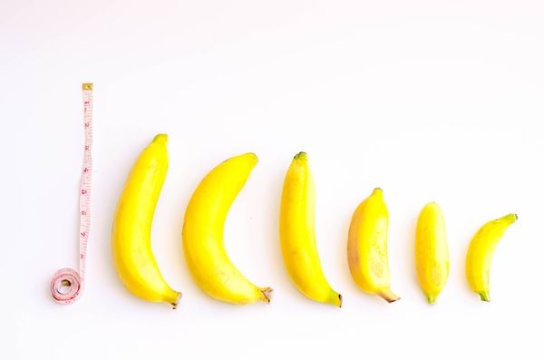 Bananas comparando o tamanho do pênis
