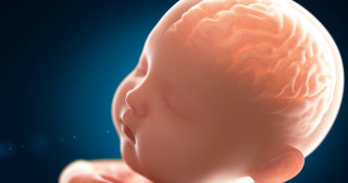 5 curiosidades sobre como o bebê pensa
