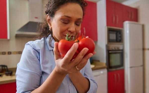 mulher cheirando tomates frescos