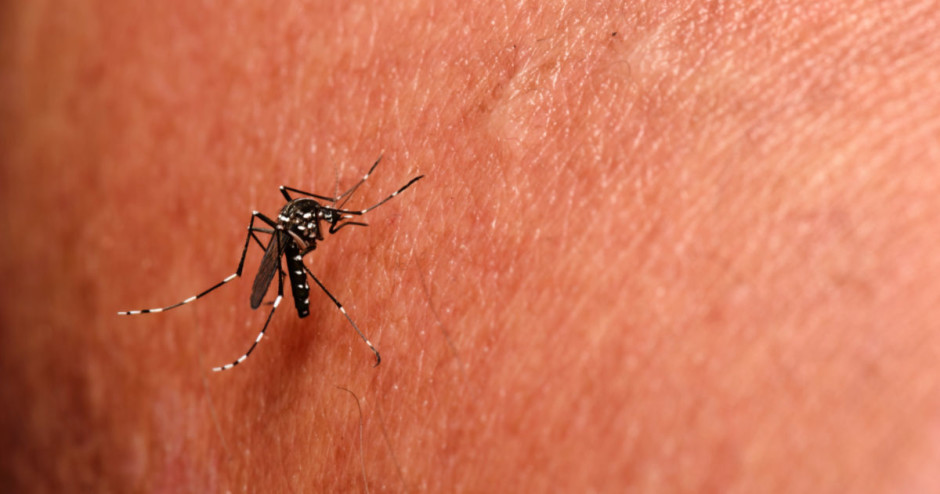 Primeiro caso de morte por chikungunya em 2019 é registrado