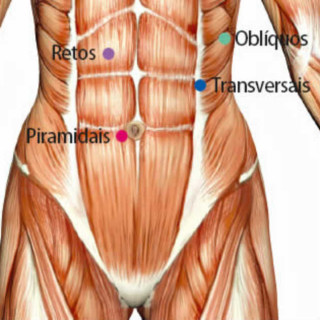Principais grupos de músculos abdominais - Foto: Reprodução/Pure Pilates