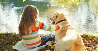 Cães ajudam a controlar o estresse de crianças