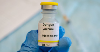 Vacina contra dengue está em fase final no Brasil