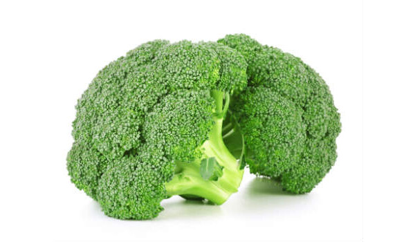 Saiba tudo sobre o brócolis na alimentação