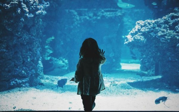menina olhando para um aquário
