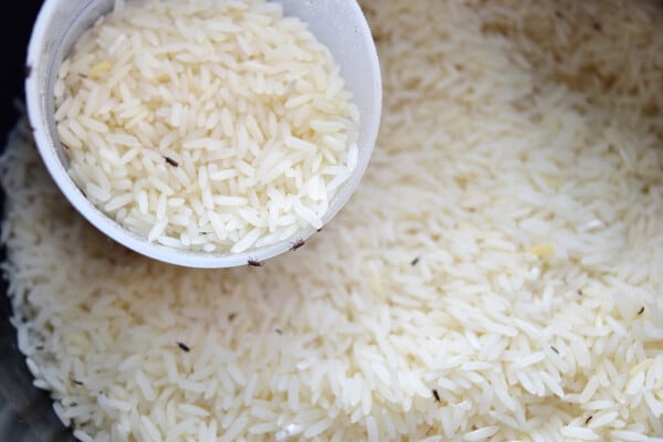 Pote de arroz com muitos carunchos dentro
