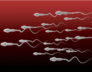 Doação de espermatozoides é alternativa para casais inferteis