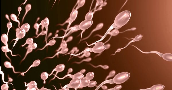 Aborto espontâneo pode estar ligado a problemas no esperma, diz estudo
