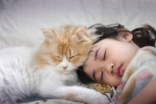 Tirando uma soneca com um gatinho - Foto:&nbsp;Seika Chujo /&nbsp;Shutterstock