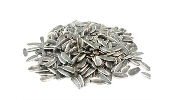 Veja os benefícios da semente de girassol para a sua saúde