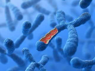 cromossomos doença de Fabry. Foto: BlackJack3D | Getty Images