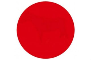 Veja se você consegue enxergar o desenho dentro do círculo vermelho