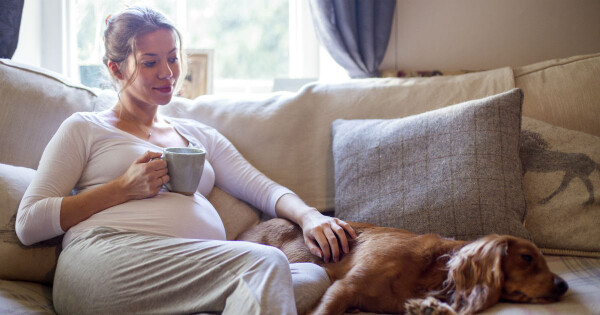 Gestante sentada no sofá ao lado de um cachorro enquanto toma chá