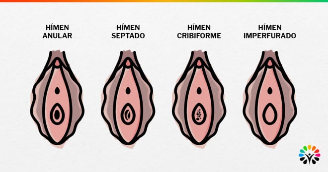 Afinal O Que é Virgindade Entenda Tudo Sobre O Assunto ⚰ Descubra A