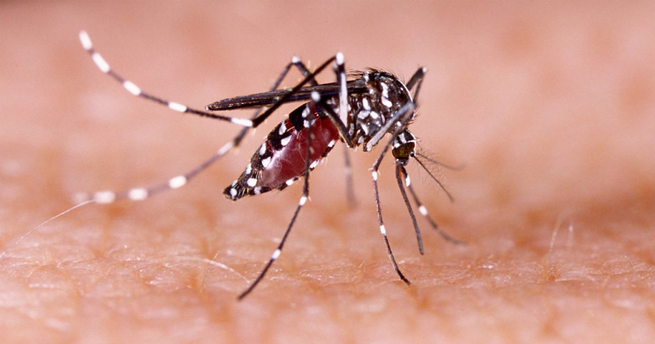Ministério da Saúde divulga 250 municípios em situação de alerta ou risco para dengue, zika e chikungunya