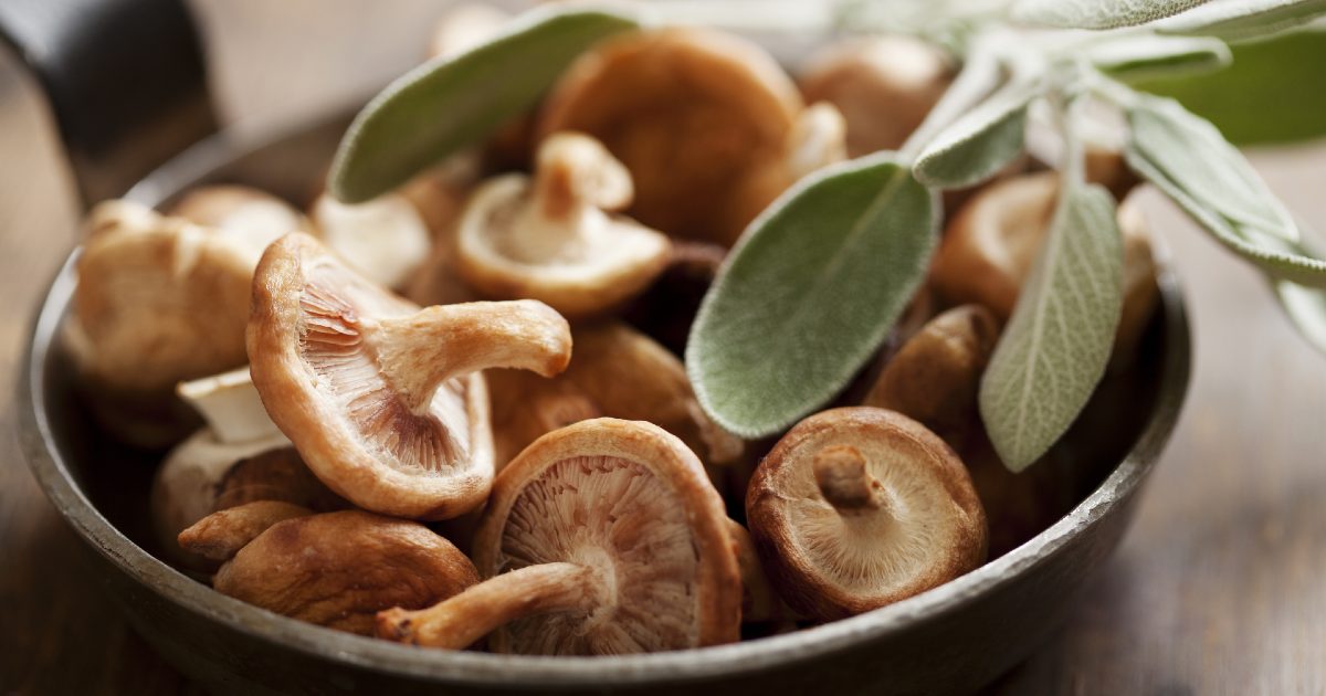 Ingrediente receita cogumelos shitake shimeji Stock Photo