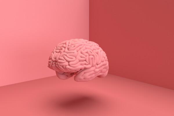 representação 3d do cérebro