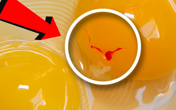 Imagem aproximada de gema de ovo com mancha vermelha