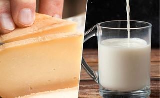 Queijo e leite