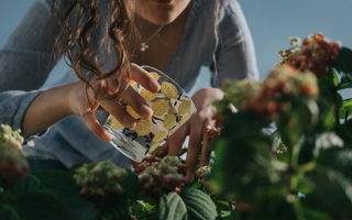 Imagem aproximada de mulher regando planta com copo de vidro