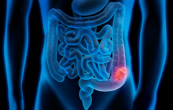 Ilustração de sistema digestivo masculino