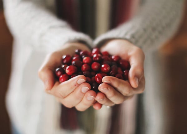 Recorte de imagem de mãos femininas de pele branca segurando uma porção de cranberry