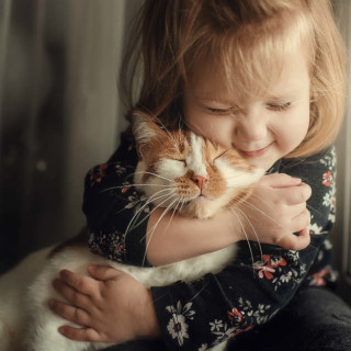 Vacina será aplicado em gatos e promete amenizar sintomas a alérgicos - Foto: Shutterstock