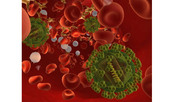 vírus hiv no sangue