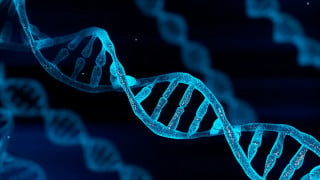 Ilustração DNA - Foto: Shutterstock