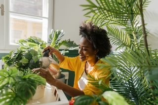 Mulher regando as plantas em casa