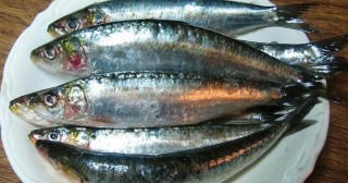 Veja os benefícios da sardinha pra saúde