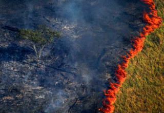Metade dos focos de incêndio estão na Amazônia - Foto: Bruno Kelly/Reuters