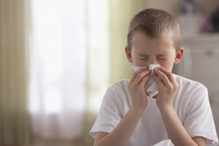 Alergia x gripe: 7 dúvidas comuns sobre as doenças que aumentam no outono e inverno