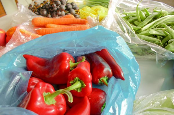vegetais como pimentão e cenoura dentro de sacolas plásticas