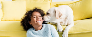 Cachorro labrador lambendo a bochecha de criança; interação com cachorro pode diminuir o estresse em crianças