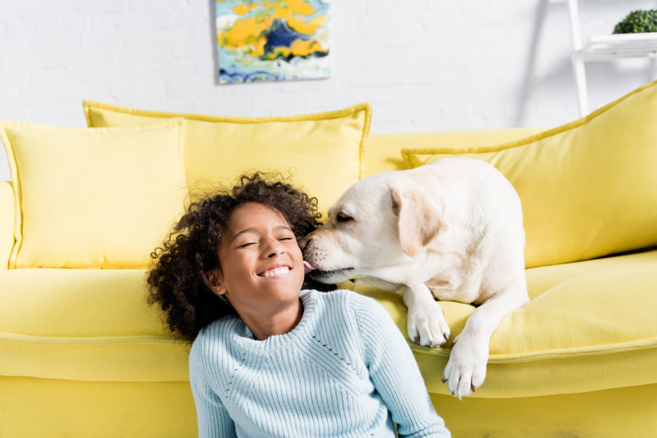 Cachorro labrador lambendo a bochecha de criança; interação com cachorro pode diminuir o estresse em crianças