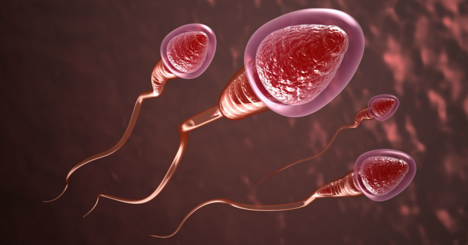 Antialérgicos podem prejudicar fertilidade do homem, aponta estudo