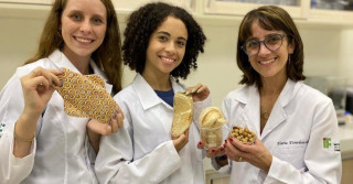 Estudantes gaúchas criam absorvente biodegradável com fibras vegetais.