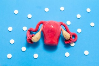 Representação da ovulação. Foto: shutterstock/Shidlovski