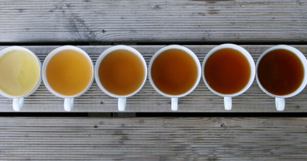 Saiba qual chá é indicado para cada hora do dia