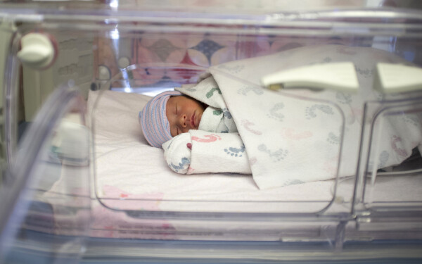 Bebê prematuro dormindo dentro de incubadora em hospital neonatal