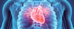 A Hipocalemia pode afetar o coração