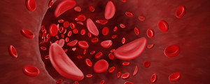 Ilustração gráfica das células sanguíneas com anemia