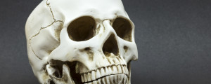 Close-up de crânio humano