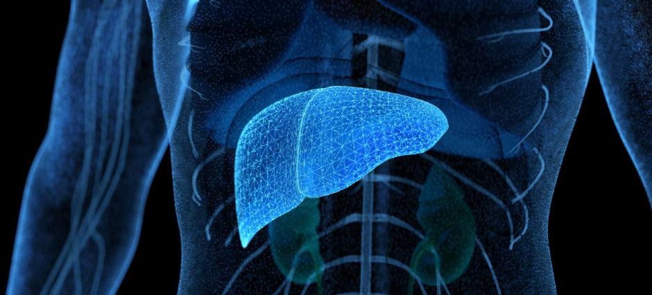 imagem em preto e azul do fígado