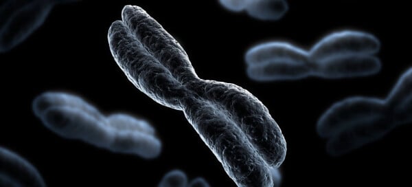 Ilustração cromossomo