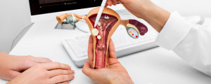 Médico mostrando um modelo anatômico de útero para paciente